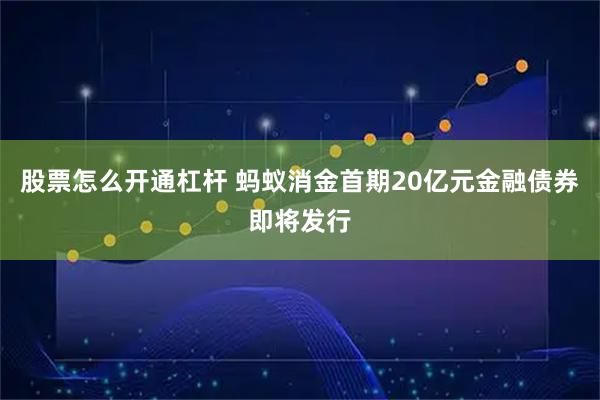 股票怎么开通杠杆 蚂蚁消金首期20亿元金融债券即将发行