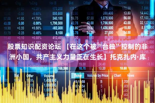 股票知识配资论坛 【在这个被“台独”控制的非洲小国,共产主义力量正在生长】托克扎内·库