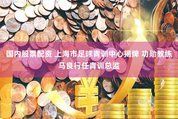 国内股票配资 上海市足球青训中心揭牌 功勋教练马良行任青训总监