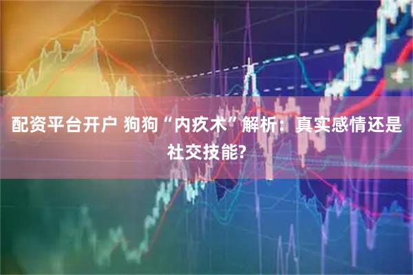 配资平台开户 狗狗“内疚术”解析：真实感情还是社交技能?